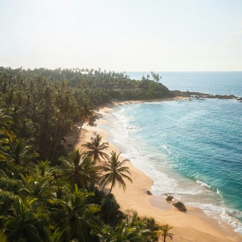 Beautiful sandy beach with palm trees and sea surf with waves. Silent Beach, Sri Lanka.