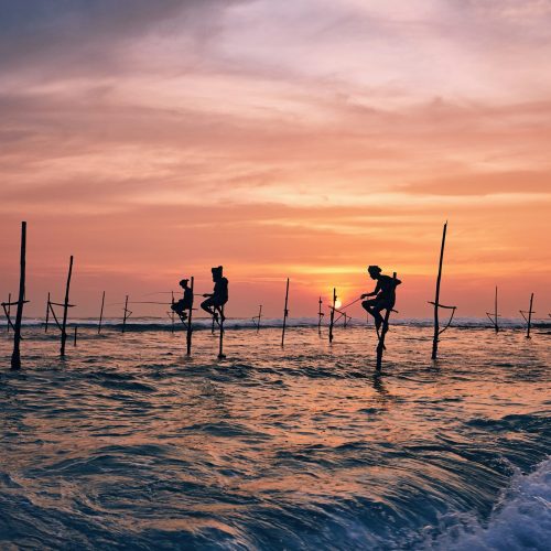 Traditional stilt fishing in Sri Lanka
