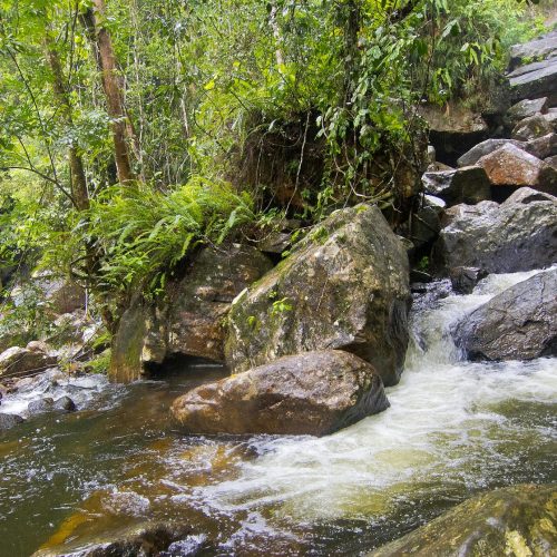Waterfall, Sinharaja National Park Rain Forest, Sri Lanka